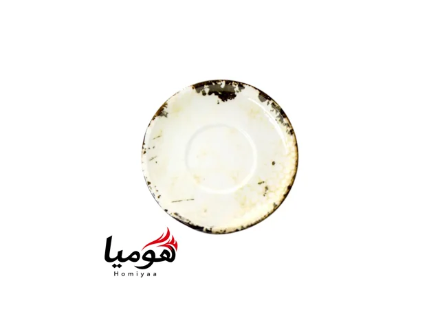 فنجان و نعلبکی کاپوچینو سوژیلیت مدل 8303 هومیا